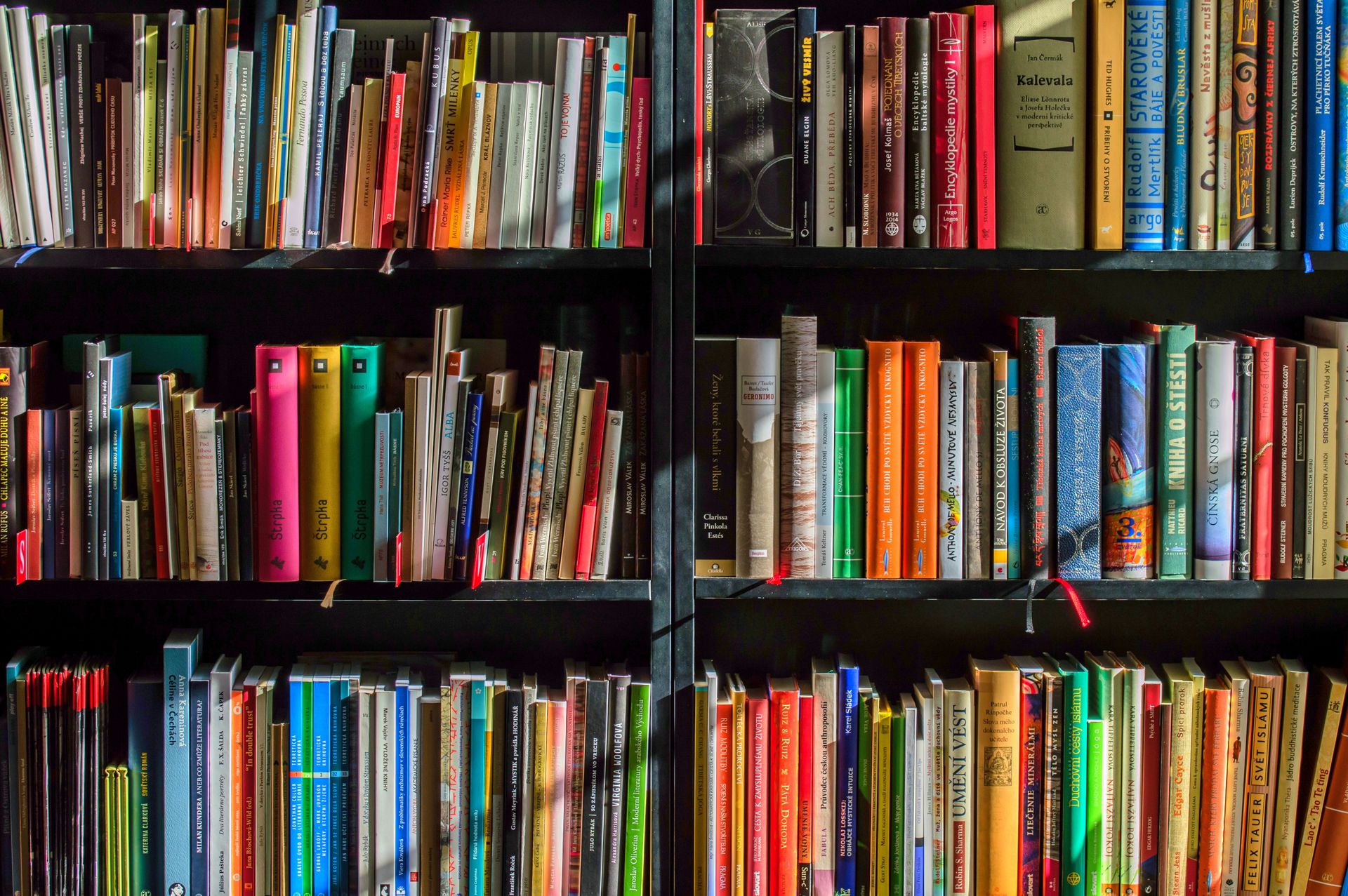 Bound law reports on a shelf